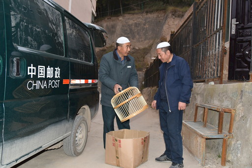 临夏回族自治州人口_甘肃临夏 免费学前教育缓解 入园难(2)