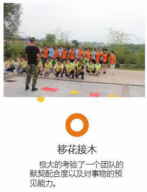 罗田招聘_2019年罗田县招幼师备考大礼包(3)