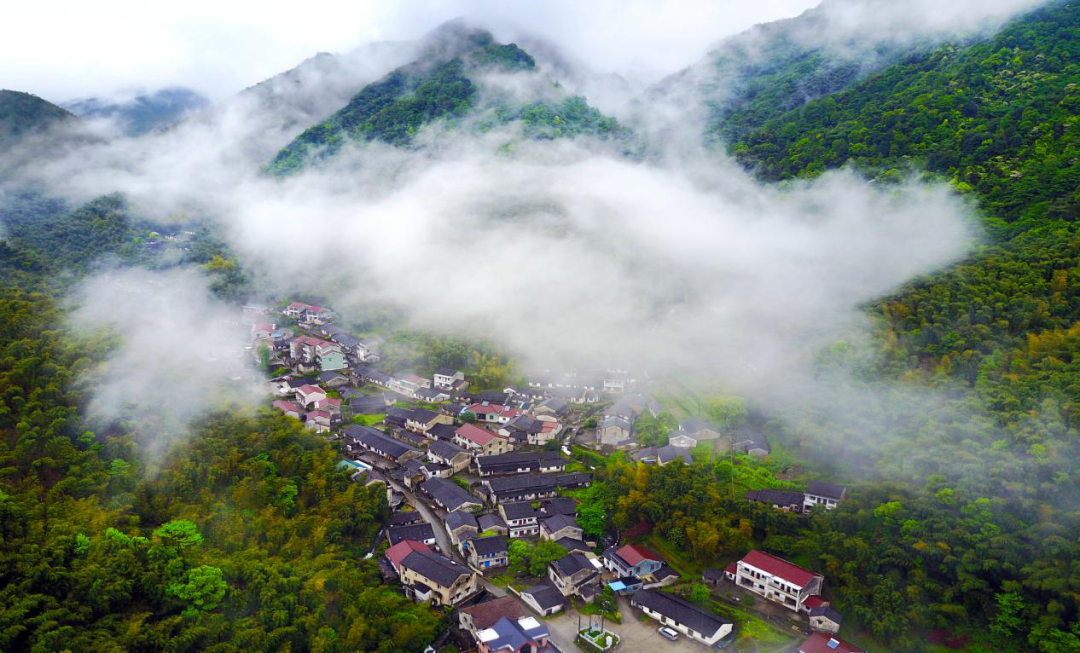 余姚陆埠景点图片