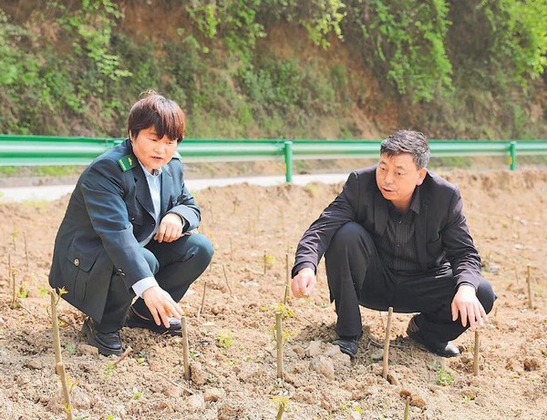 赵明翠